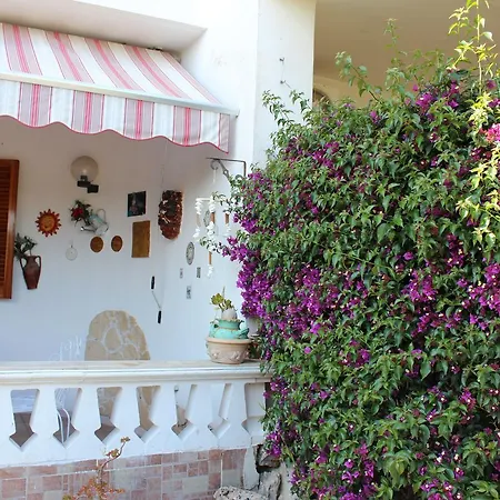 Vakantiehuis La Casa Di Adele Sant'Andrea (Apulia)